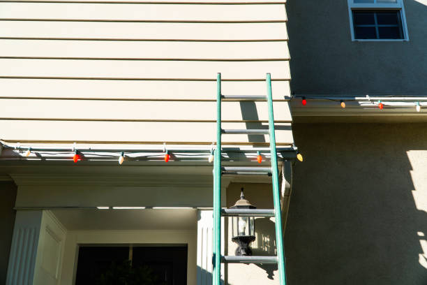 Best Residential Vinyl Siding Installation  in South Rockwood, MI