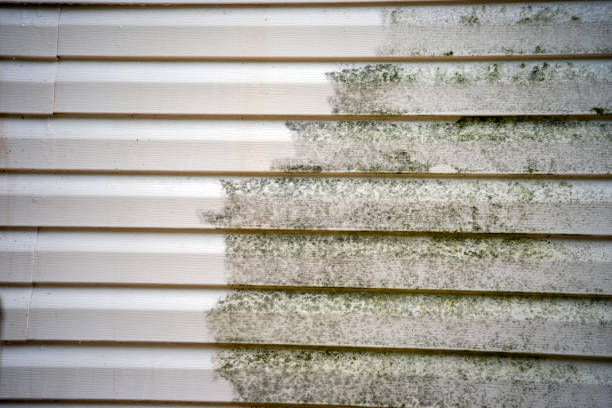 Siding for Commercial Buildings in South Rockwood, MI