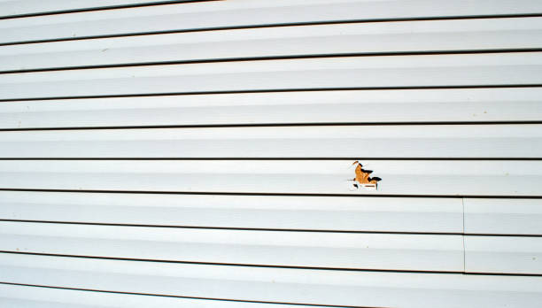 Best Historical Building Siding Restoration  in South Rockwood, MI